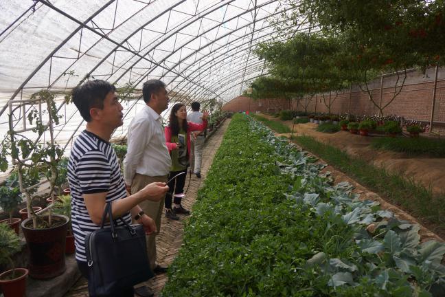 我公司領(lǐng)導(dǎo)一行赴北京、壽光考察學(xué)習(xí)現(xiàn)代農(nóng)業(yè)