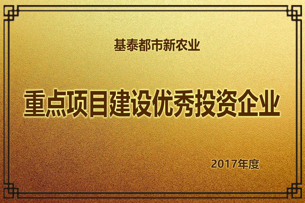 2017年度 重點項目建設優(yōu)秀投資企業(yè)