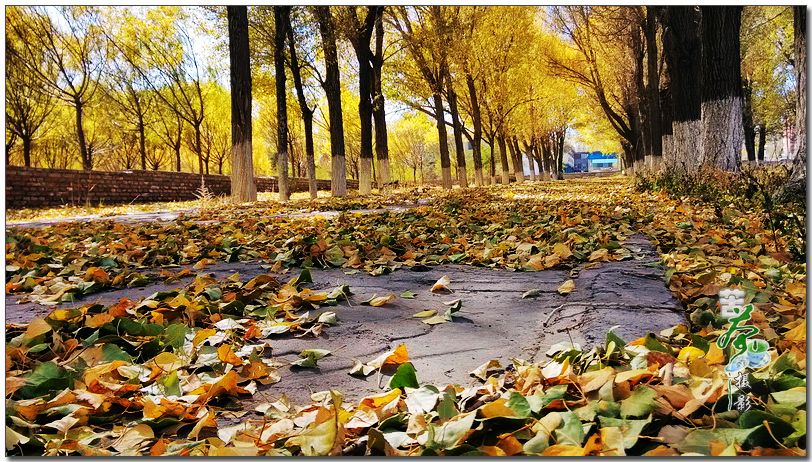 對于工作，你帶著情懷了嗎？