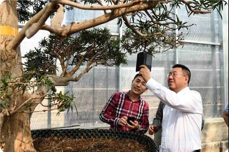 張宏偉蒞臨基泰集團檢查指導(dǎo)工作