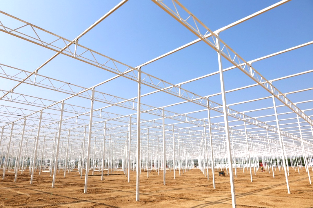 玫瑰溫室主體骨架完工！